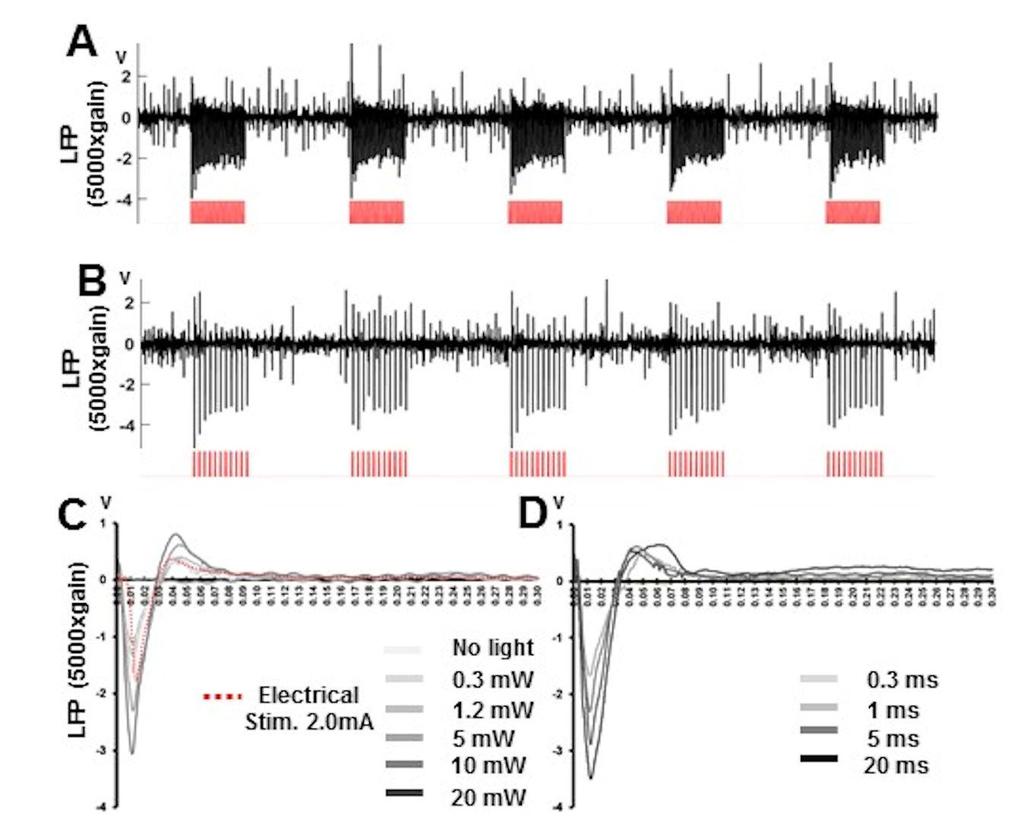 Supplementary Figure 7 The light-driven local field potential (LFP) by optogenetics. A.