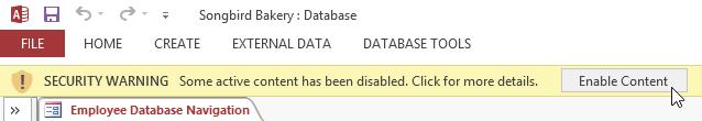 If the database contains customized functions, a yellow bar with a security warning may appear below the Ribbon.