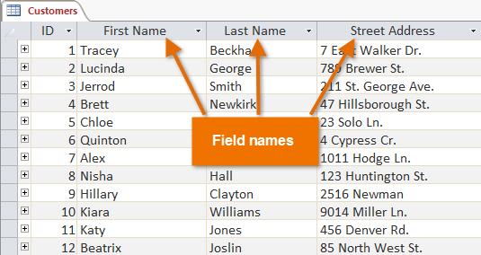 type. For example, every entry in a field called First Name would be a name, and every entry in field called Street Address would be an address.