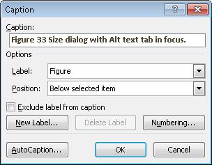 " Figure 35 Context menu for an image with Insert Caption selected. Figure 36 Caption dialog with caption text entered. Tables and equations should also be captioned.