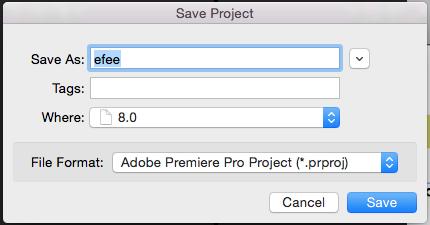 Remember to save your work often. Saving frequently reduces the risk of losing the work you have been doing. To save your Premiere Pro project, go to File > Save as.