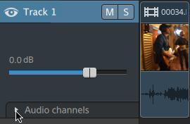 3. Use the controls in the Channel Assignment section to set up the clip's audio: a. Click the speaker icon to turn a channel on or off.