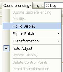 3) Using the Georeferencing tool, select Layer: 004.