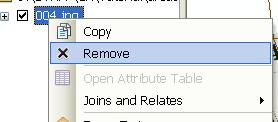 17) In the pop-up box that appears, select the browse option. Make sure you save the new rectified image in the \01 data\arcdata_10_1\arcdata\toronto\ folder.