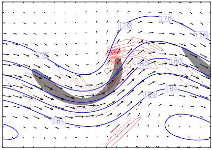 and the thin-red contours are horizontal divergence, which present evident wave structure. Fig. 1: Gravity waves associated with an upperlevel jet system (shaded region).