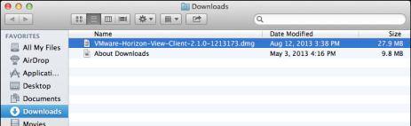 the download of the Horizon View Client to your