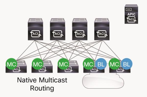 best-practices recommendation is to enable native IP multicast routing in the Cisco ACI fabric.