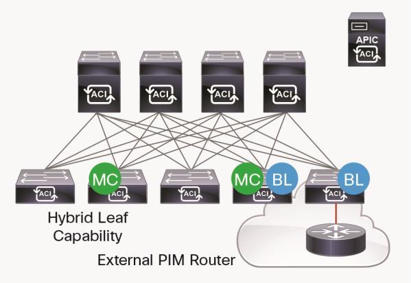 Scenario 3: Hybrid Fabric with Leaf Switches both Based on and Not Based on Cisco Nexus EX Platform In a hybrid environment (Figure 4), in which some of the leaf switches are not based on the EX