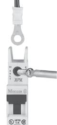 Many installation options FAZ Branch Circuit Breakers are available in two terminal configurations; standard box terminals that accept multiple conductors and ring-tongue terminals, ideally suited to