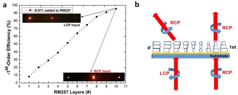 Figure 4 Diffraction efficiency for a single DTPPD. a, The efficiency of 1 st DTPPD upon the increased retardation is measured with input of LCP.