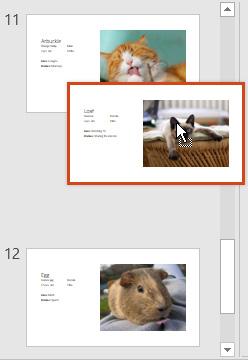 You can also duplicate multiple slides at once by selecting them first. Move slides: It's easy to change the order of your slides.