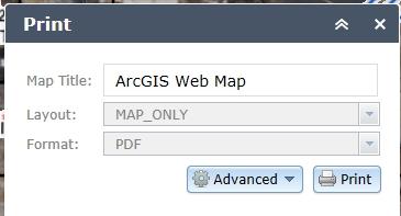 You have the option to leave the Map Title box with the default name of ArcGIS Web Map or change it to a more descriptive title for your map.