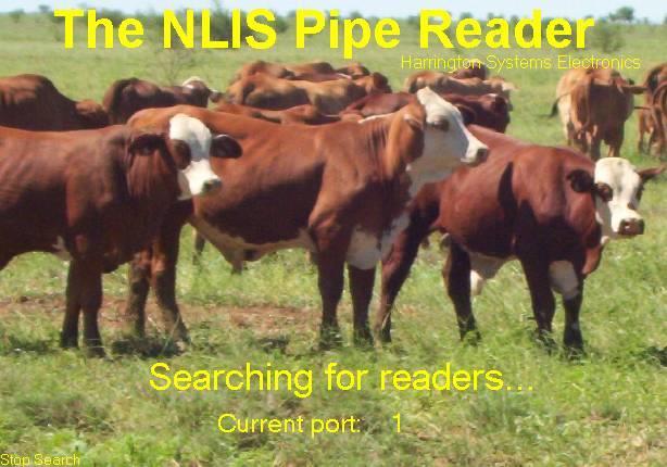 Step 2) Open the Pipe Reader software, by double clicking on the NLIS Pipe Reader