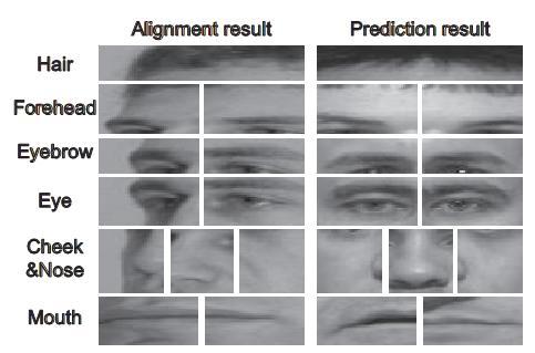 Appearance prediction Results Fusion of 12 predicted components (A 1, A 2,, A 12,) = appearance-prediction