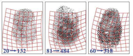 Normalization An input fingerprint image is normalized by cropping a rectangular region of the fingerprint, which is located at the center of the fingerprint and aligned along the longitudinal