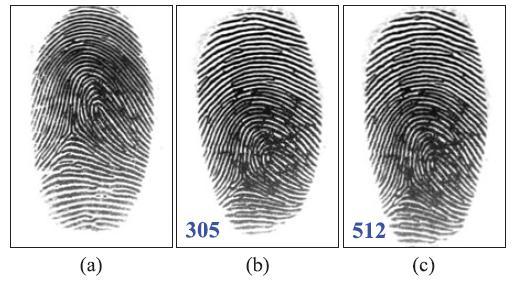 Tsinghua DF database contains 120 pairs of distorted and normal fingerprints. FVC2004 DB1 contains P.MOUNIKA, S.