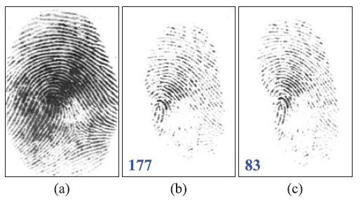 If this query fingerprint is rectified by the proposed rectification algorithm, the matching score can be further improved to 512.