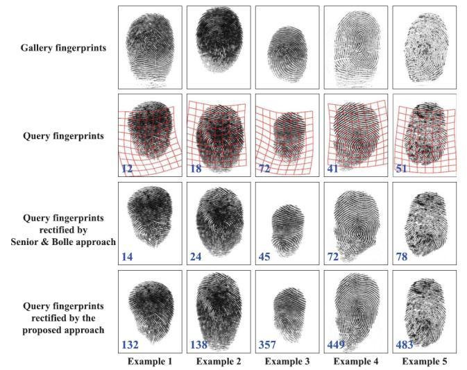 Detection and Rectification of Distorted Fingerprints (FVC2006 DB2_A), the proposed algorithm has no negative impact. Five examples from FVC2004 DB1 and Tsinghua DF database are given in Fig.