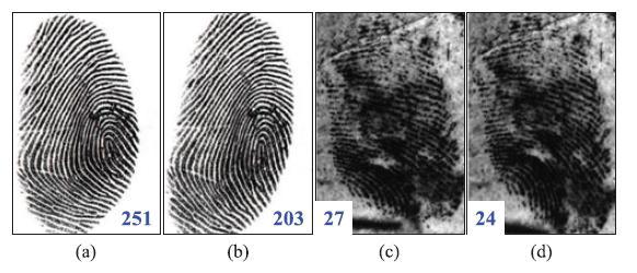 SD27 latent database which contains some distorted latent fingerprints. Veri-Finger was used as the fingerprint matcher.