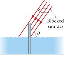 Example 1.4 In the figure, a 2.00-m-long vertical pole extends from the bottom of a swimming pool to a point 50.0 cm above the water.