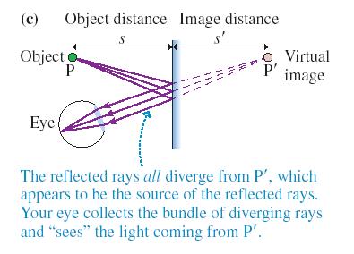 The Plane Mirror s s The Plane Mirror Consider P, a source of rays which reflect from a mirror.
