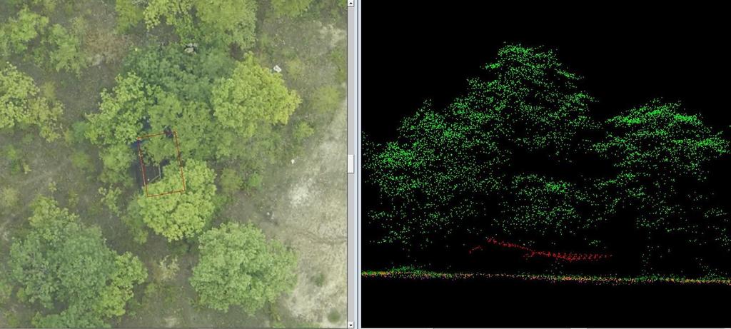 Hidden tents & small huts: Even tents & small huts can be identified in survey Image View LiDAR