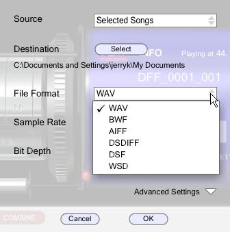 It is recommended that you archive your important recordings in DSD format to maintain the highest possible recording quality.