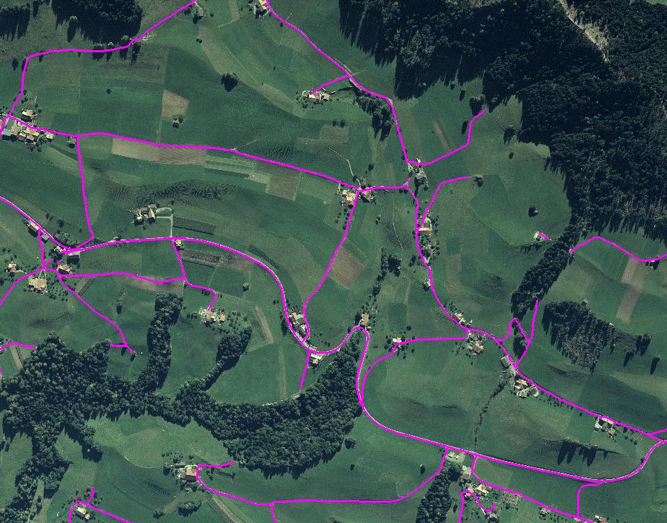 Figure 3. Extracted 3D roads and road network (the pink lines) in test site Thun, Switzerland Figure 5.