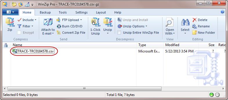 If you selected to open the file, a file containing the invoice details will display. NOTE: The software used to open the file may vary.