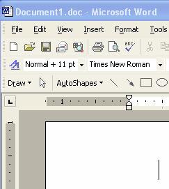Once the program opens, a blank page is displayed that has the name Document 1 at the top, on the blue bar.