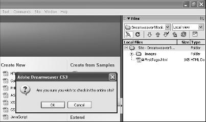 Dreamweaver provides a check-in/check-out system that prevents two developers from working on the same file at the same time.