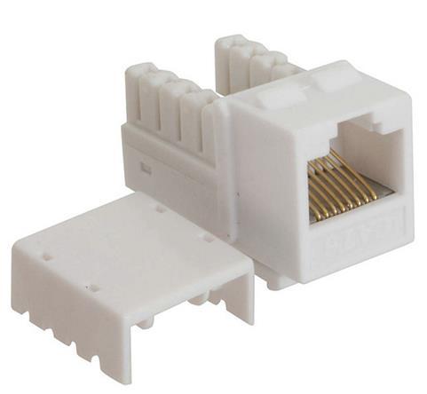 The jack is the female component in a network device, wall outlet, or