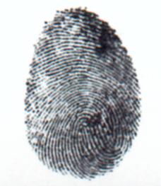 Fingerprint: Enrollment 1.