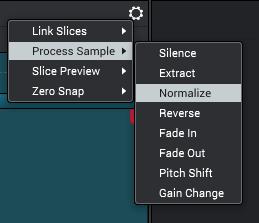 Click the gear icon to enable or disable Link Slices and Zero Snap, to select an editing process (Process Sample), to set the Slice Preview behavior: Link Slices: When Link Slices is set to On,