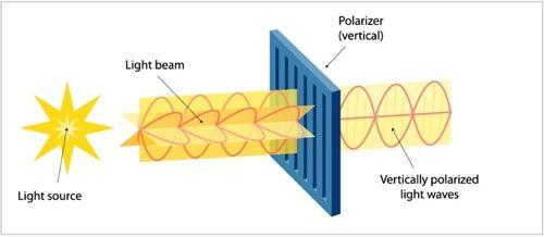 Polarised Light Schematic representation Light beam Polariser Light source Light waves vertically polarised Unpolarised light viewed