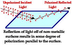 Polarised Light Light can become polarised by Reflection refraction scattering Unpolarised incident light