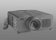 Another common type of display devices is the video projector. Printer It output data in paper forms (hardcopies).