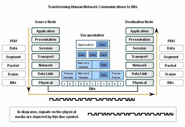 8.1 The Physical Layer Communication Signals 8.1.1 The Physical Layer Purposes The OSI Physical layer provides the means to transport across the network media.
