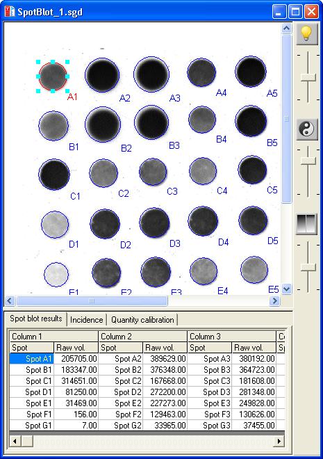 Getting started with Spot blot analysis Note When GeneTools analyzes a Spot blot image it takes measurements from a defined area around the spot called a spot frame.