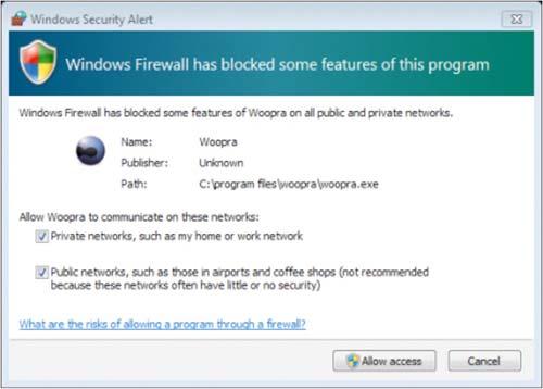If you have the Windows FireWall activated, a warning permission to communicate with networks appears, you must to click "Allow Access".