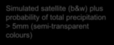 satellite (b&w) plus probability of