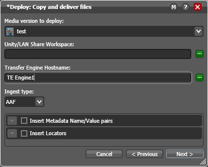 6. Select media version and enter the name of the Workspace on the Unity/LANshare.