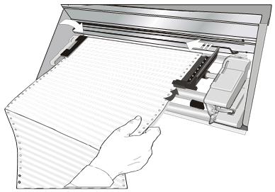 Hold the fanfold paper in front of the sprockets and insert the paper perforation on the left