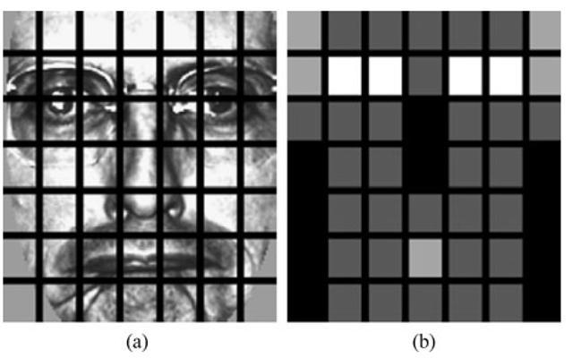 Figure 4. (a) Sample of face image which split into 7*7 block ( b) Image after the blocks splitting. C.