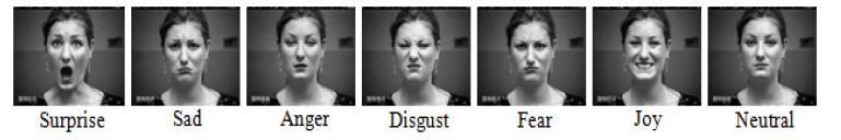 Fig 7. Sample images of each prototypic expressions. Fig 8. Clipping of a sample face image from the original one. It can be observed that, both LTP and CLBP performs better recognition rate than LBP.
