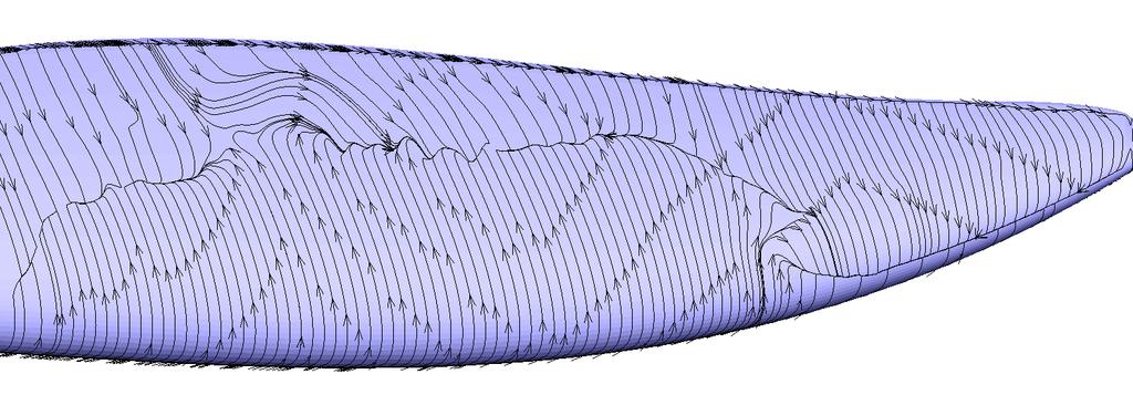 Scalloped flipper, smooth flipper. Figure 9. Averaged shear stress streak-lines for α = 15 o. Scalloped flipper, smooth flipper.