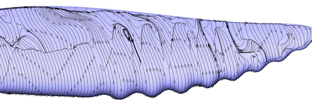 In figure 8 and 9 the averaged shear stress streak-lines at the flipper surface are displayed.