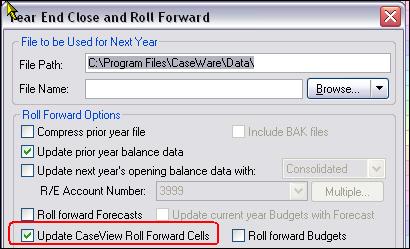 Roll forward settings Jazzit financial statements, letters and working papers require the CaseView cells to roll forward: CaseView settings Colour Preferences Set Colours for Input Paragraphs, Input