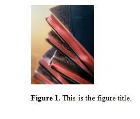 6. Type or paste the rest of the figure title after the figure number. Continue applying styles and captions to all major headings, subheadings, figures and tables.