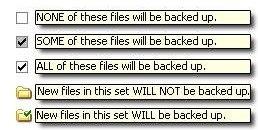 Topics: Selecting Backup Sets Creating Custom Backup Sets Editing Backup Sets Using the File System Tab to Select Backup Content About